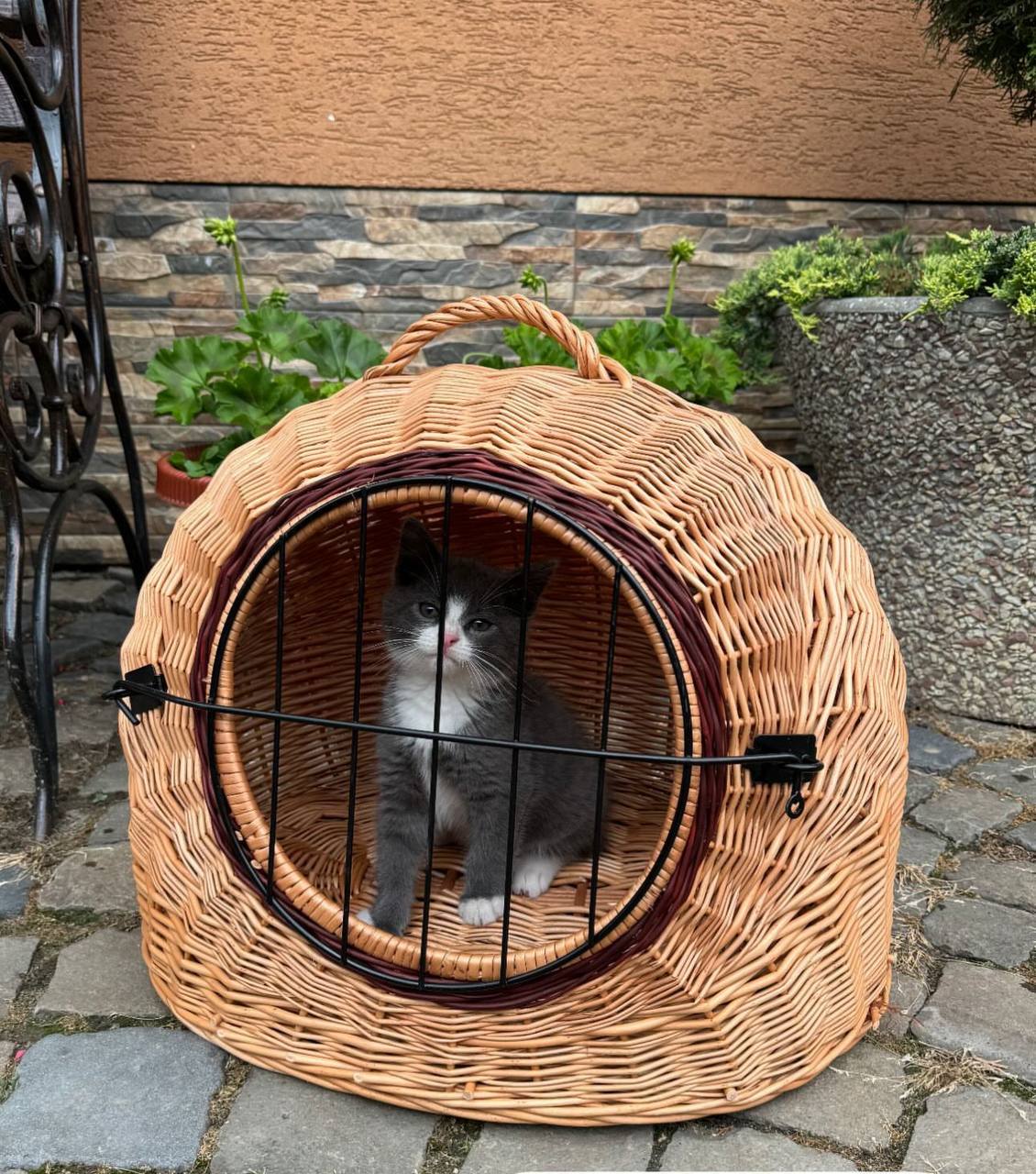 Pet supplies